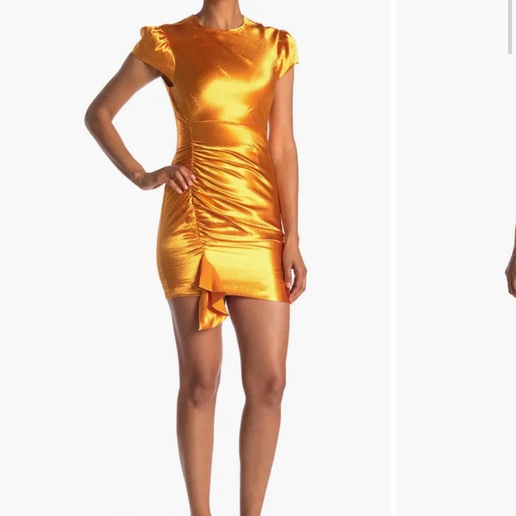 Cinq a Sept Natalia Short Sleeve Dress - Picture 6 of 7